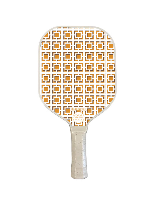 Coastal Pickle Pickleball Paddle - Tangerine Breeze Block